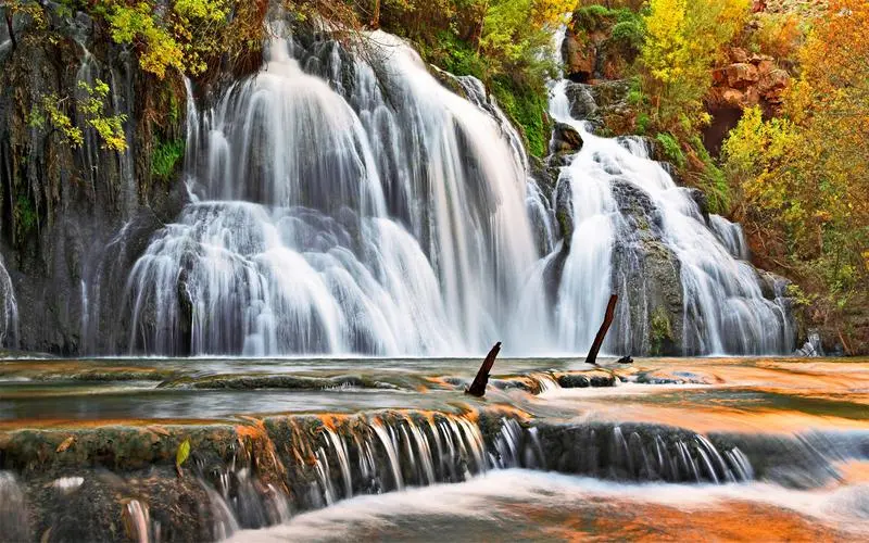 网络化创意智能